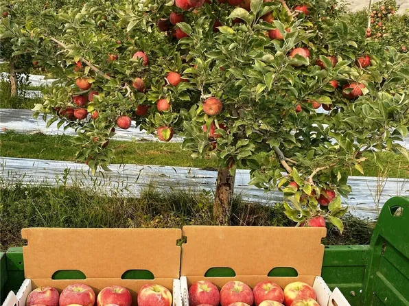 618 Jack Wells Road, Bridgeport, WA 98813