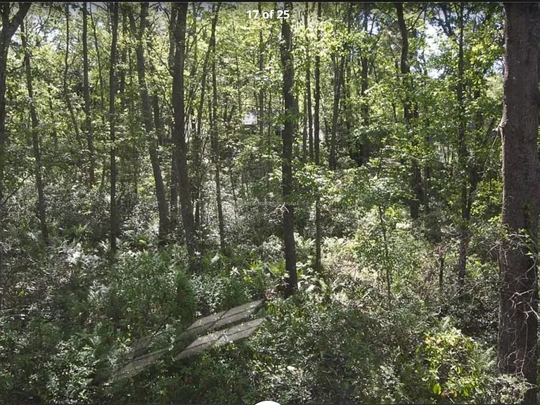 14 Hydrangea Ln — Photo 13