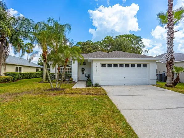 13110 ROYAL GEORGE AVENUE, ODESSA, FL 33556
