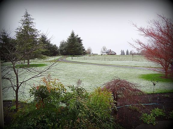 4th image of 701 SE 318th Pl