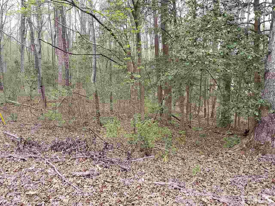 2nd image of 119 Chama Dr