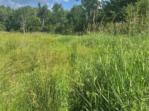 LOT 173 Three 7 Guinea Rd Lot 2, Gilboa, NY 12076