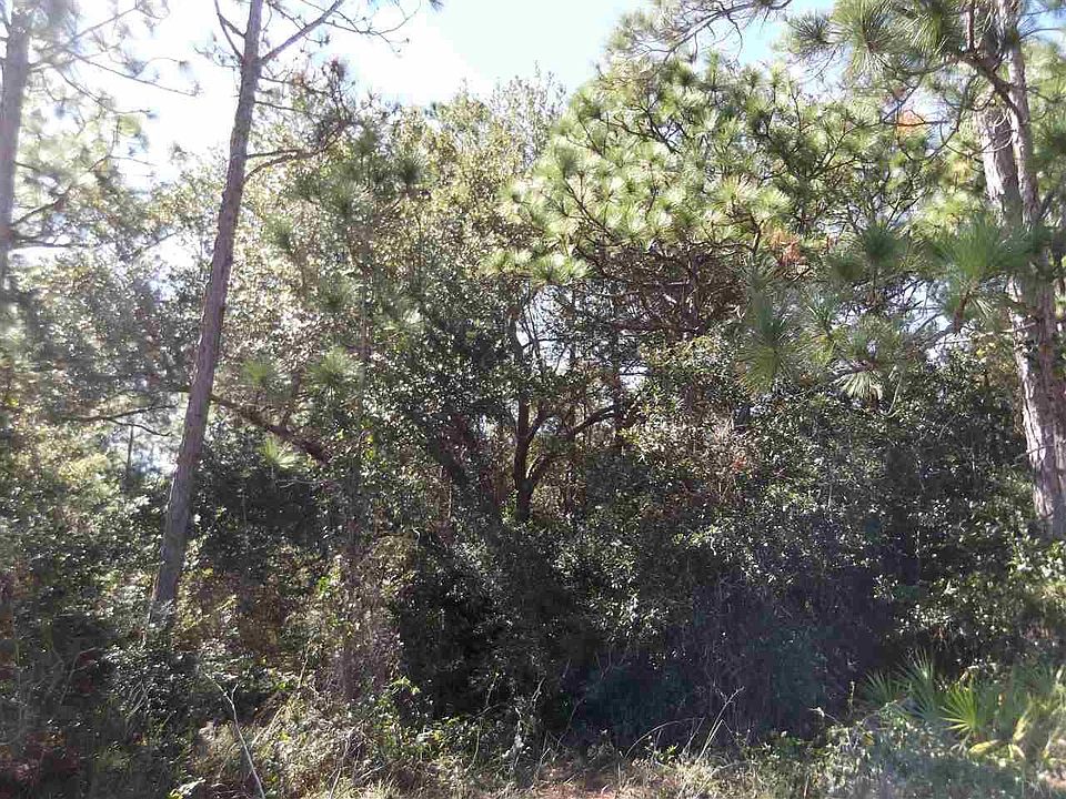 2nd image of LOT 15/8 Galvez Dr