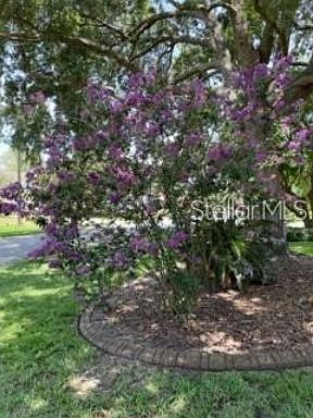 4th image of 509 Brokenshire Dr