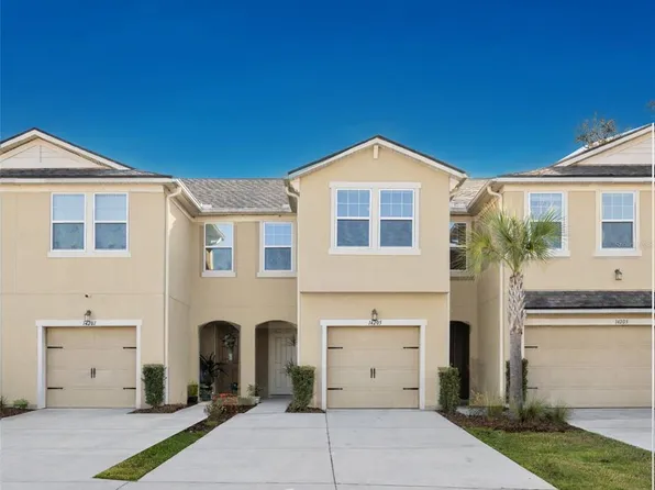 14205 Damselfly Dr, Tampa, FL 33625