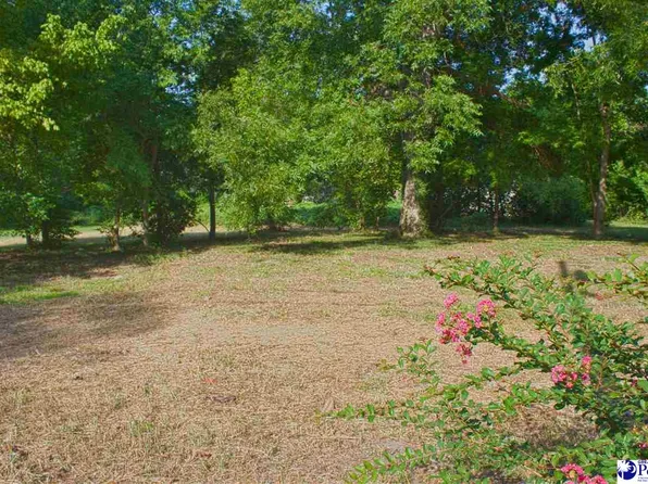 509 Howard St, Hartsville, SC 29550