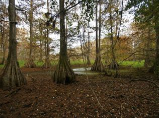 619 Earls Slough Ct, Tallahassee, FL 32312