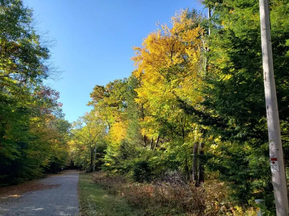 Reini Ln, White Lake, WI 54491