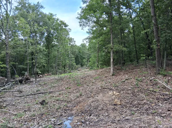 Tbd County Road 350, Dora, MO 65637