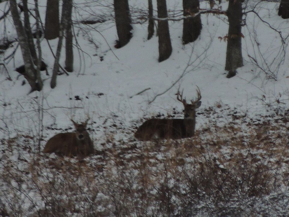 91st image of this home