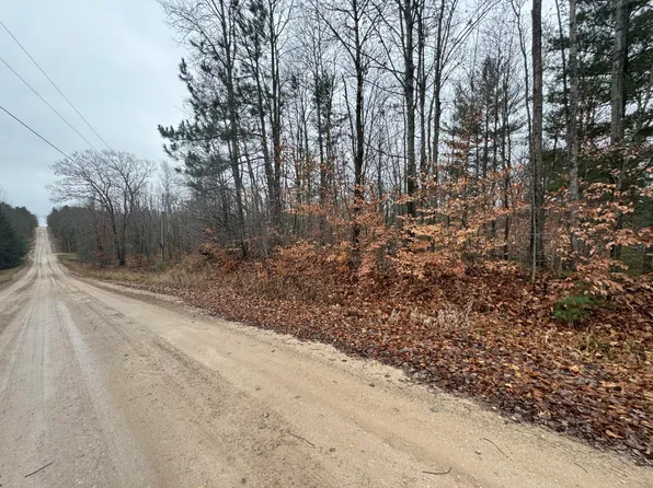 16204 Timberline Dr, Wolverine, MI 49799