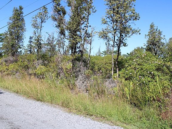 5th image of 2nd Avenue Aloe Lot 2854
