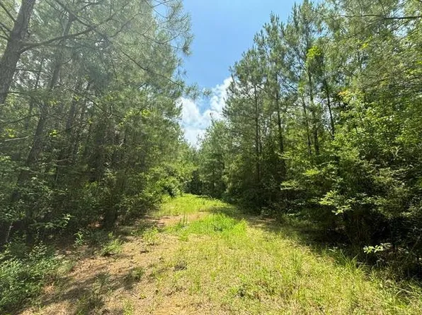 0 E Lewiston Rd, Kentwood, LA 70444