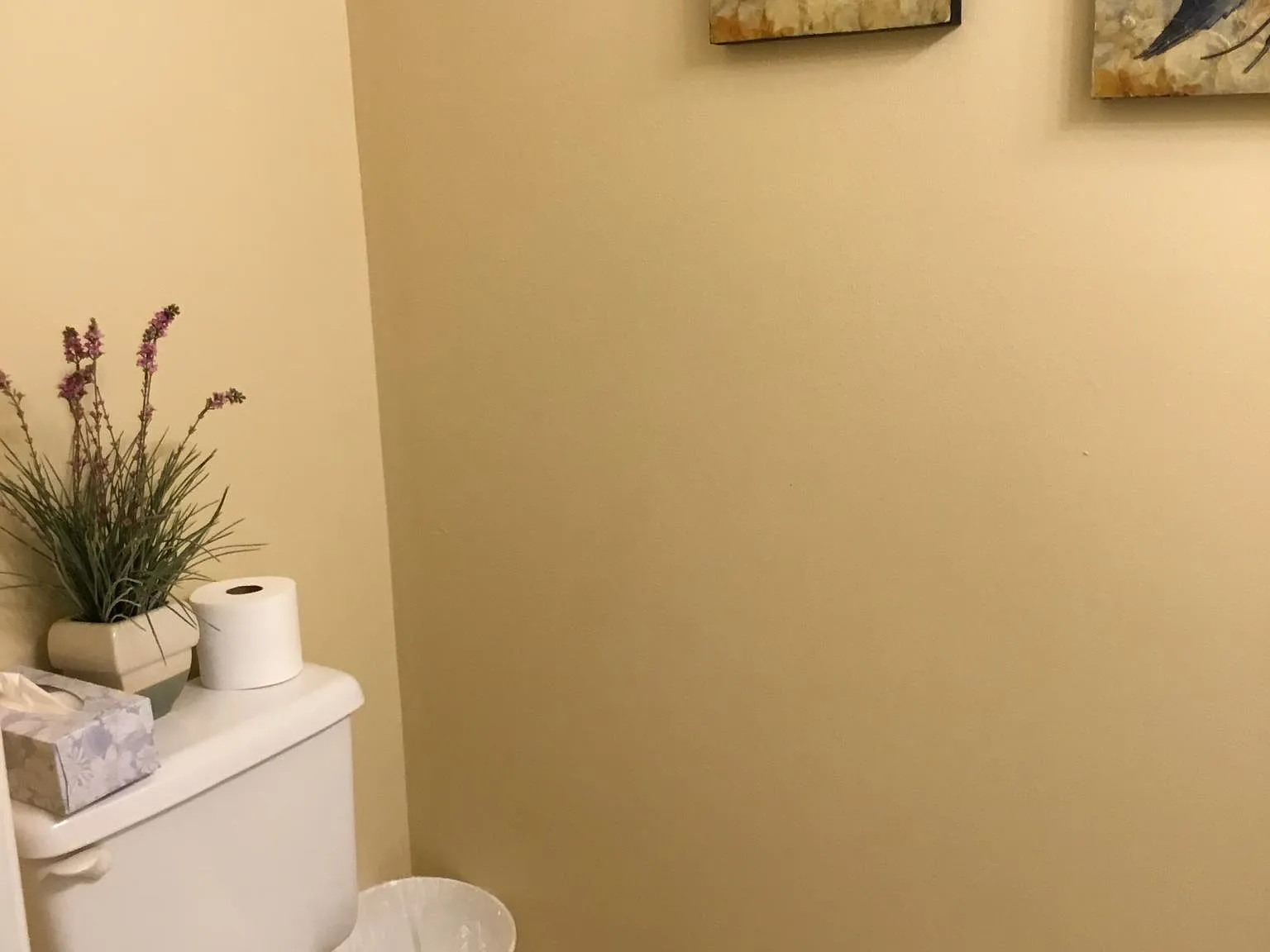 235 Pelican Pl — Photo 4