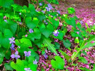 33834 Ivy Ct, Burlington, WI 53105