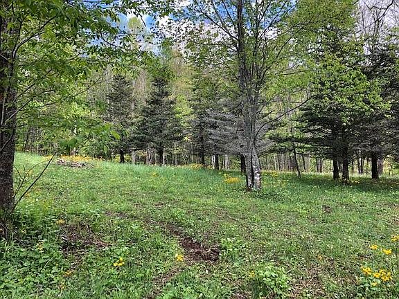 5th image of Misty Mountain Ln