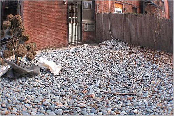 Rented by 4 Points Properties | media 57