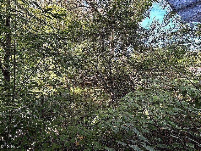 2nd image of 8706 Stearns Rd