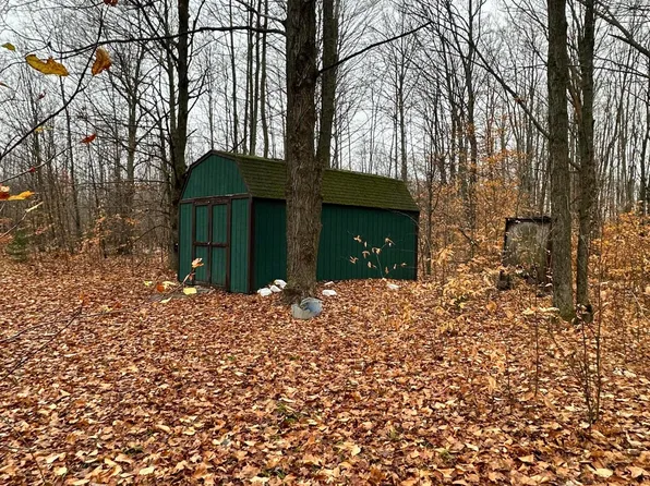 6124 Piehl Trl, Frederic, MI 49733