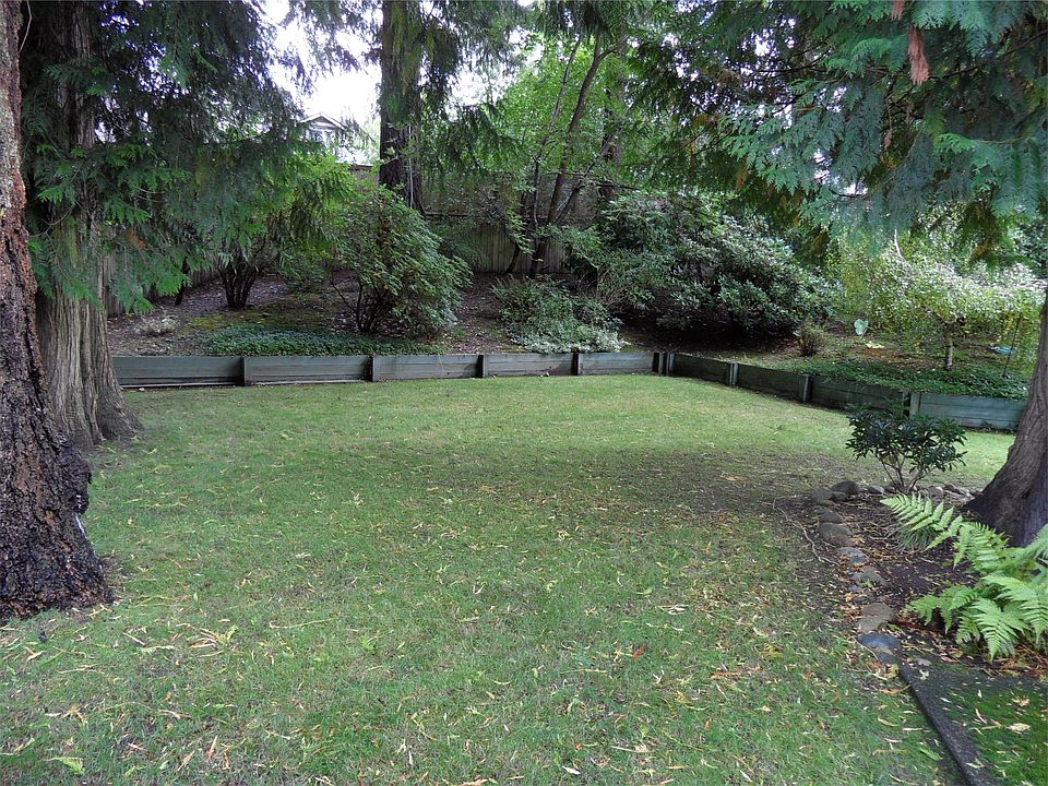 The backyard