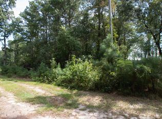 14 Big Eagle Rd, Atkinson, NC 28421