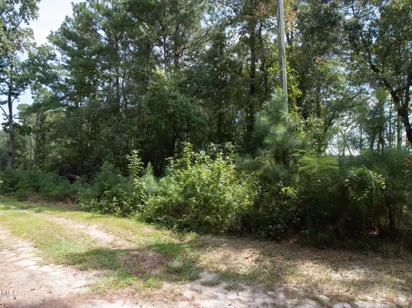 14 Big Eagle Road, Atkinson, NC 28421