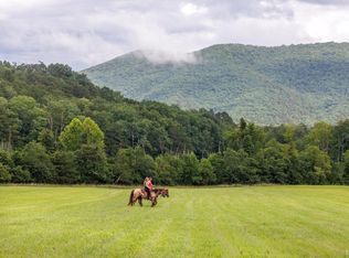 41 News Rd, Eagle Rock, VA 24085