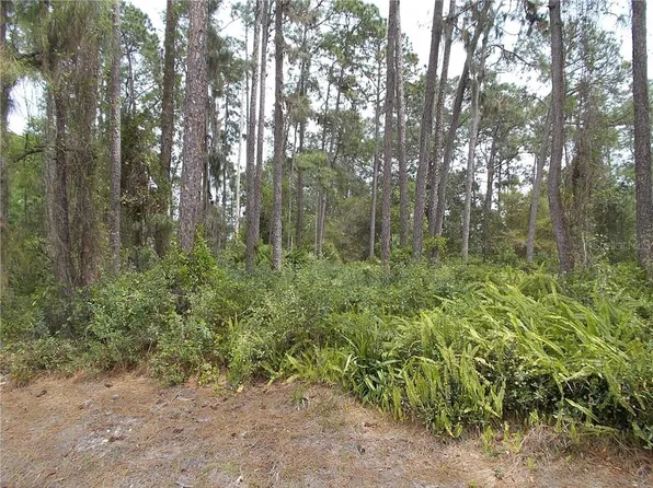 1324 Tallahassee Ct, Poinciana, FL 34759