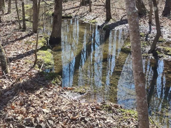 0 Deer Run Rd, Altamont, TN 37301