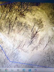 250250301230 215th Ave, Delhi, IA, 52223