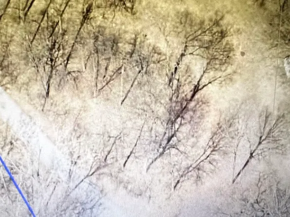 250250301230 215th Ave, Delhi, IA 52223