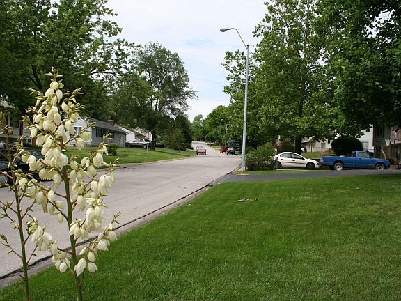 North view of street