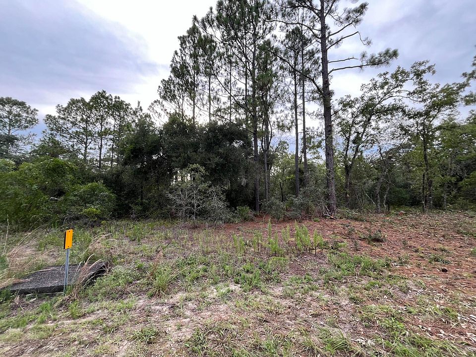 1st image of 9572 N San Marco Way