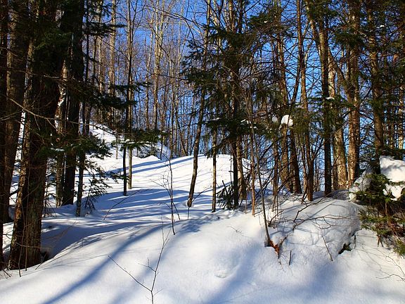 5th image of LOT 35 Alpine Dr