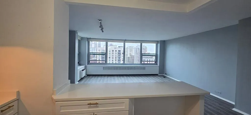 1255 N Sandburg Terrace, Unit 2406 — Photo 3