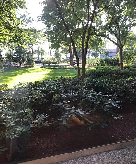 145 Pinckney St #125 — Photo 3