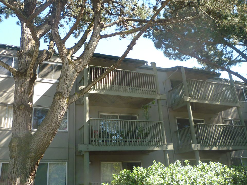 1st image of 381 Half Moon Ln APT 311