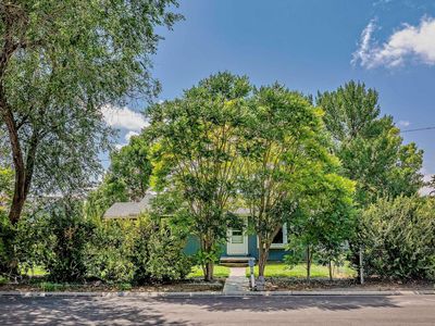 708 E Jefferson St, Powell, WY, 82435