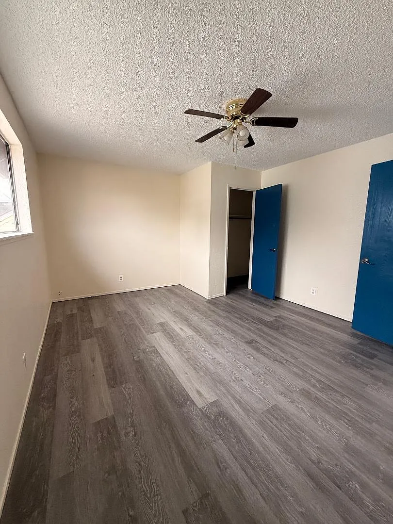 1 bed, $1,250 — Photo 4