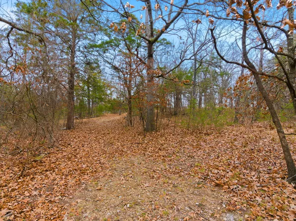 251 Pine Street, Branson, MO 65616