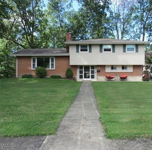 1015 Allen Ave, Ashtabula, OH, 44004