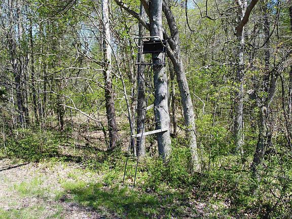 56th image of 5334 Ira Barker Rd