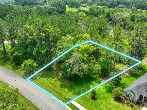 19656 Sheltered Hill Dr, Brooksville, FL 34601