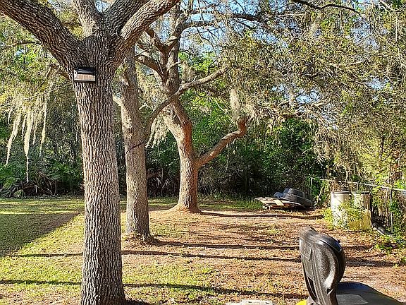 Nice treed yard for privacy 