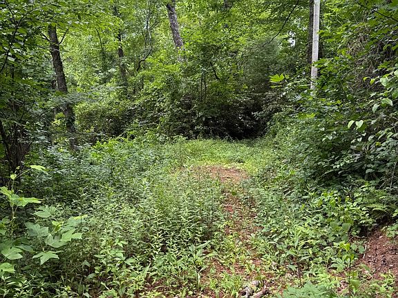 4th image of Gingercake Rd