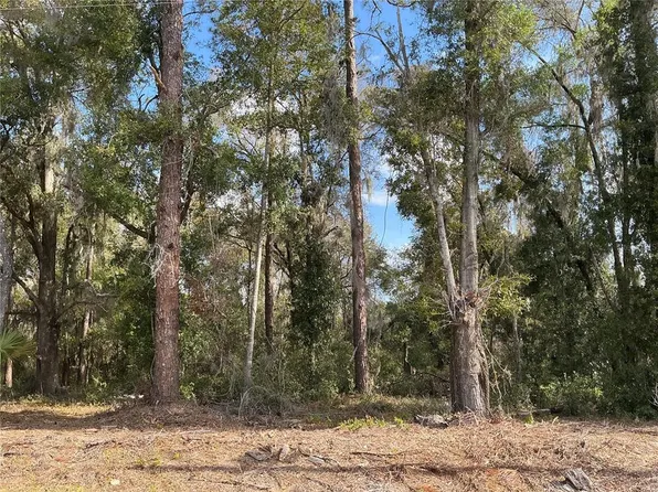 0 Locust Dr Lot 13, Ocala, FL 34472