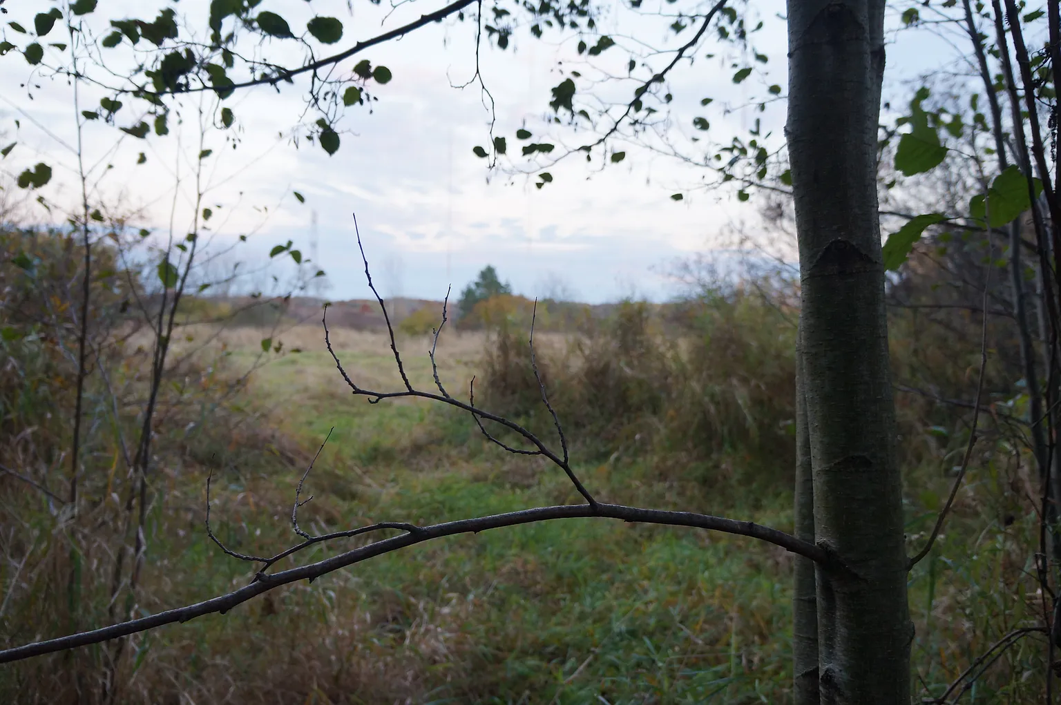 40851 N Delany Rd photo 1