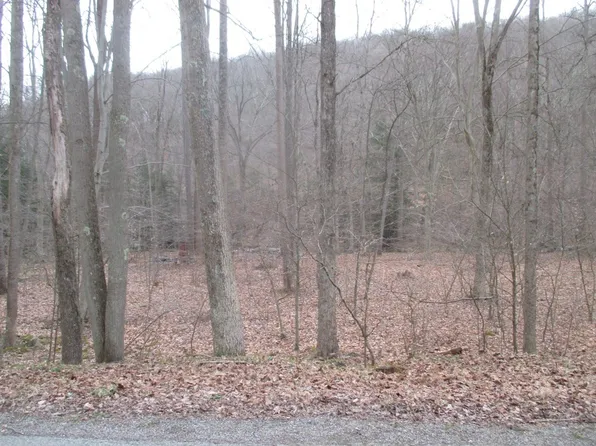 0 Four Mile Run Rd, Ligonier, PA 15658