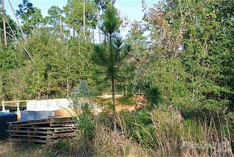 3rd image of 5989 Dahoon Dr