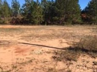 Samantha Dr, Eight Mile, AL 36613